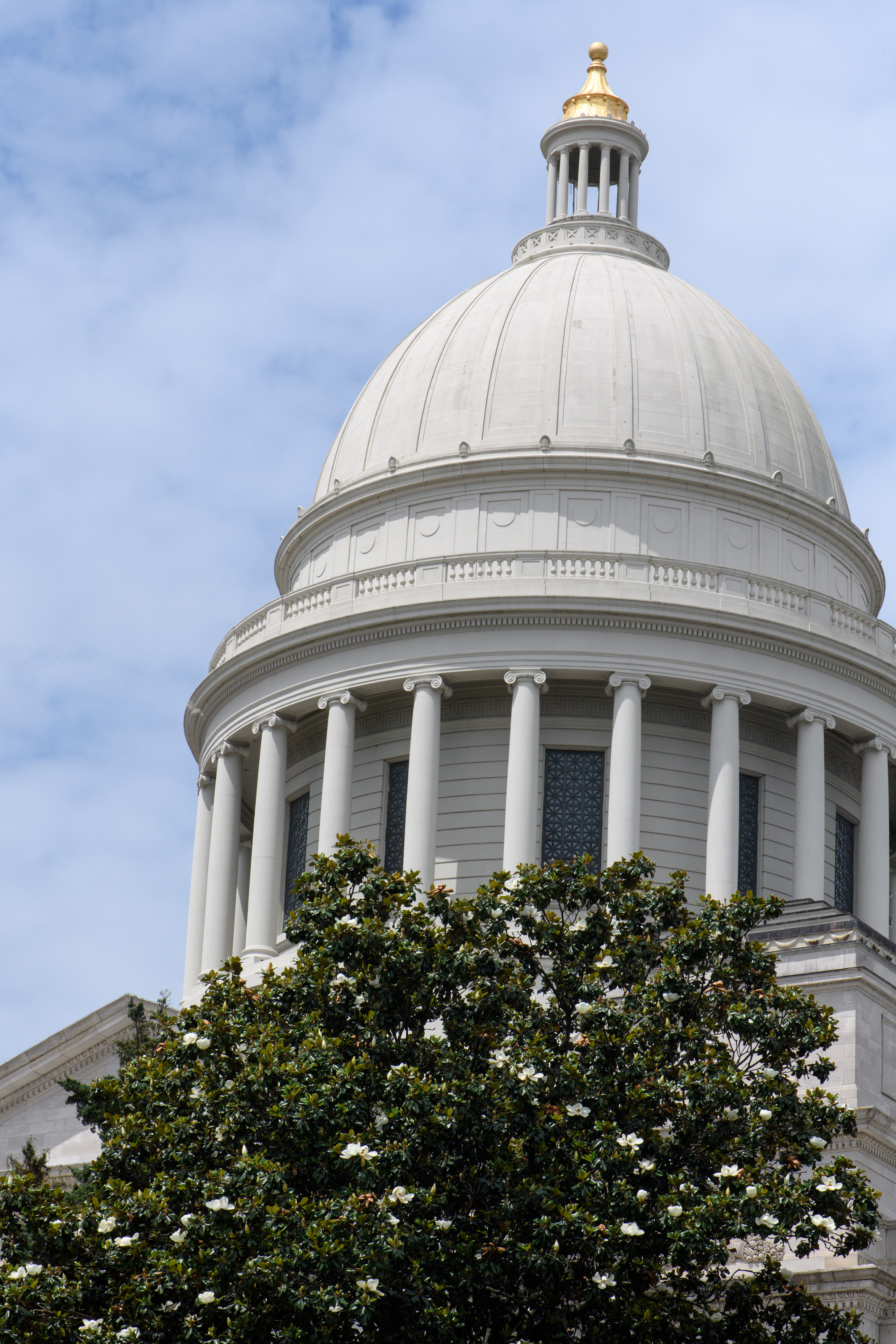 Klein leads 20 years of Arkansas Capitol tours